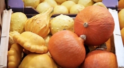 خیلی خیلی کوچک (2) (حقه باز فروشگاه)